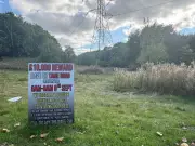 Oldbury rape: No charges year on, new police appeal