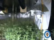 Police seize £5m cannabis farm in Aston after power cut alert