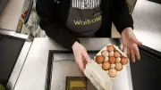 Salmonella outbreak: UK shoppers urged to check eggs for safety marks