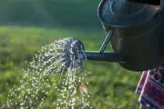 Severn Trent Issue Firm Update After Another UK Hosepipe Ban Enforced