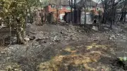 Solihull councillor warns 'don't be an idiot' after grass fire near homes