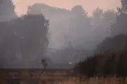 Stourbridge wildfire hospitalises child, three responders
