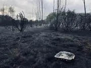 Supermarkets Pull Disposable BBQs Amid Wildfire Warnings