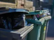 Two spices that keep flies and maggots out of bins