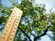 UK Heatwave 2026: 27 Counties to Sizzle as Temperatures Hit 36C