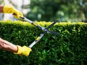 UK Hedge Cutting Ban Until August 31: £20,000 Fines