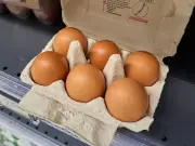 UK households urged to check eggs after salmonella outbreak