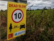 Warning after horse rider injured on Shropshire road