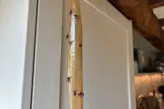 Why So Many Flies? How to Get Rid of Flies Fast