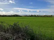 Wigan greenbelt sites withdrawn from local plan after campaigner victory