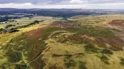 Wildlife Trust Urges Public Support Before Rothbury Estate Deadline