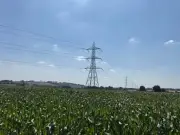 Wiltshire farmers get £1.2m from National Grid to boost countryside