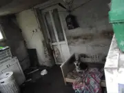 Woman banned from keeping animals for five years after neglect case