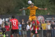 Young Wolves Striker Departs on Loan to Boost Senior Experience