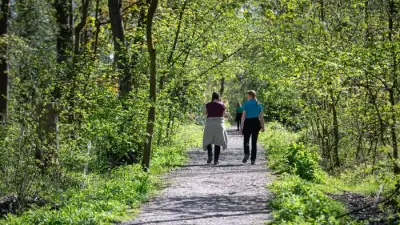 Hem Heath Woods upgraded with £127k for paths, trees and bluebells