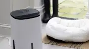 Dehumidifier placement key to faster drying, expert says
