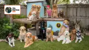 Expert Dog Trainer Vic Barlow Shares Tips on Leaving Your Dog Alone