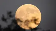 Harvest Moon September 2026: UK date, best viewing times and why it's special