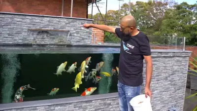 Man builds tropical fish paradise in Moseley garden after 18 years