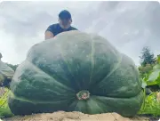Stourbridge man grows giant 650lb squash for Southampton show